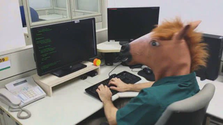 horse